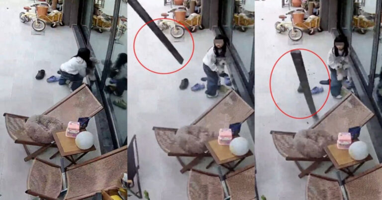 Anjing Berjuang Memberi Peringatan, Selamatkan Seorang Gadis Kecil—Momen Menegangkan Terekam Kamera 