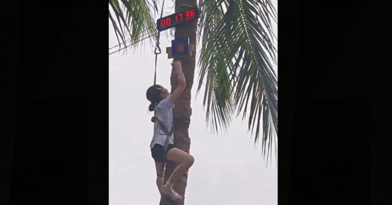 Remaja Putri 16 Tahun di Tiongkok Panjat Pohon Kelapa 7 Meter dalam 17 Detik, Videonya Viral