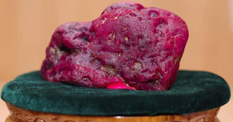 Batu Ruby Berkualitas Tinggi Seberat 2,2 Kg Ditemukan di Myanmar, Diperkirakan Bernilai Jutaan Dolar AS