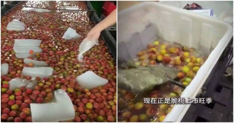 Apakah Buah-buahan Ini Masih Layak Dimakan? Leci dan Persik Direndam dalam Bahan Kimia Hingga Semangka yang Disemprot Obat 