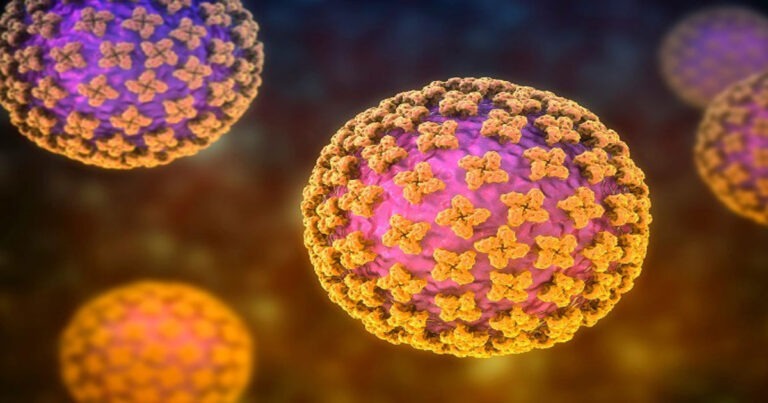 Kewaspadaan Global Meningkat, Ebola dan Virus Hanta Sama-Sama Jadi Perhatian