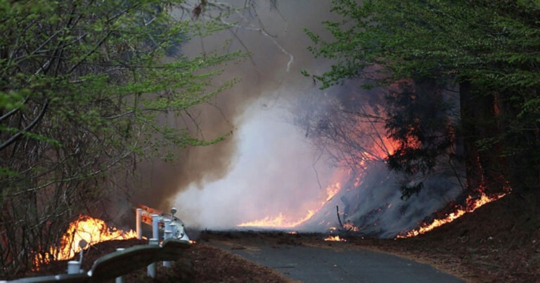 Kebakaran Gunung di Iwate Jepang Berlangsung 11 Hari, Hanguskan 1.600 Hektare, Api Akhirnya Terkendali 