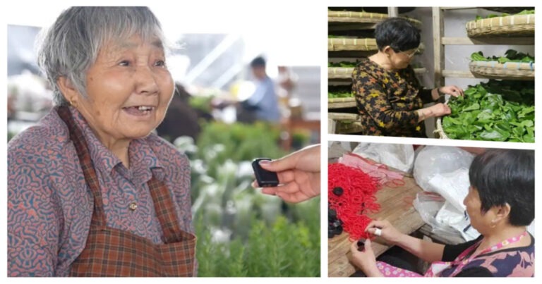 Nenek Berusia 80 Tahun di Zhejiang, Tiongkok Masih Bekerja untuk Menafkahi Keluarga, Picu Perdebatan Hangat