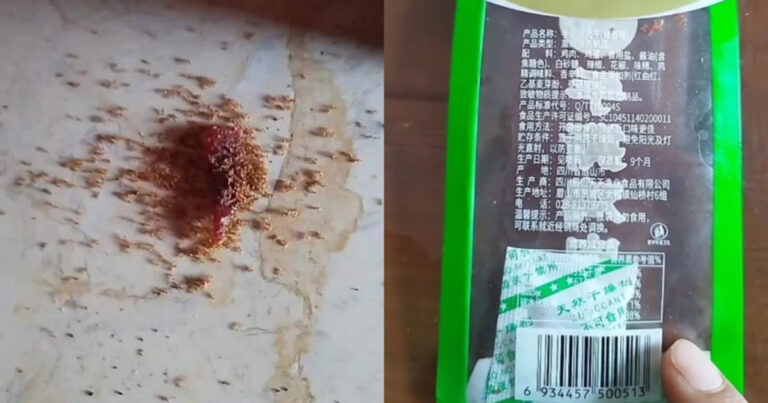 Remahan Dendeng di Tiongkok Jatuh ke Lantai, Semut yang Memakannya Langsung Mati