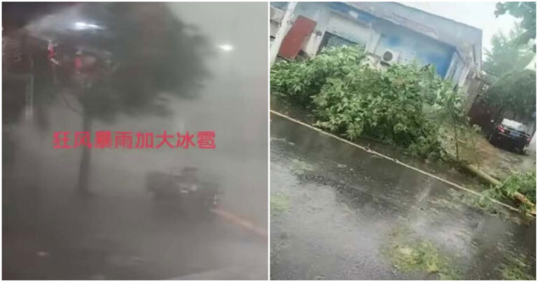 Angin Kencang Level 11, Hujan Lebat dan Hujan Es Hantam Baoding, Tiongkok,  Pejalan Kaki Tersungkur dan Pohon Tercabut