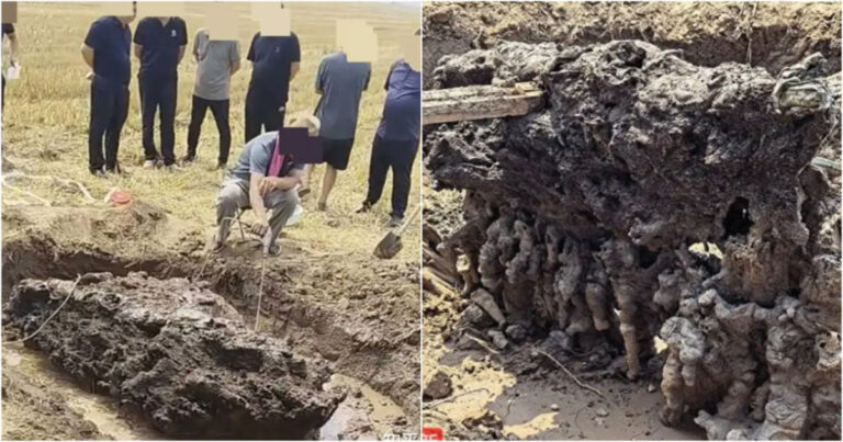 Pertanda Pergantian Dinasti? Heboh Batu Raksasa Misterius Muncul di Ladang Gandum di Hebei, Tiongkok