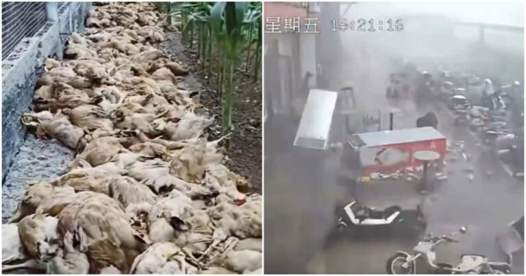 Penderitaan Akibat Panas dan Banjir! Guangdong serta Wilayah Tiongkok Selatan Dilanda Suhu Panas Ekstrem dan Hujan Badai Bak Hari Kiamat 