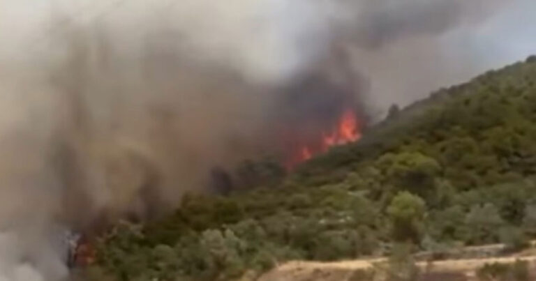 Suhu Diperkirakan Mencapai 42°C, Kebakaran Hutan di Catalonia, Spanyol Ganggu Layanan Kereta Cepat