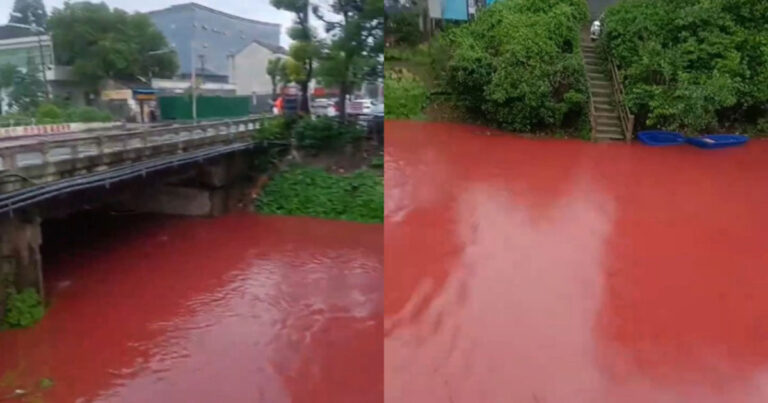 Video Mengejutkan! Sungai Berubah Menjadi “Merah Darah” Sepanjang Aliran