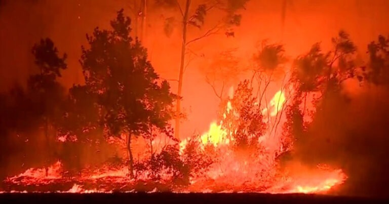 Kebakaran Hutan di Portugal Hanguskan Lebih dari sekitar 10.000 Hektare, Spanyol Kerahkan Tim Bantuan 