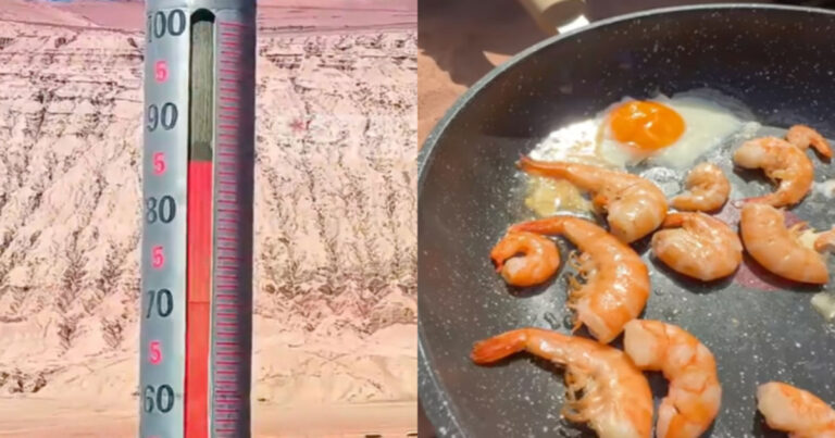Suhu Permukaan Tanah di Xinjiang Mencapai 87°C, Seorang Konten Kreator Memasak Tanpa Api : “Saya Hampir Matang”