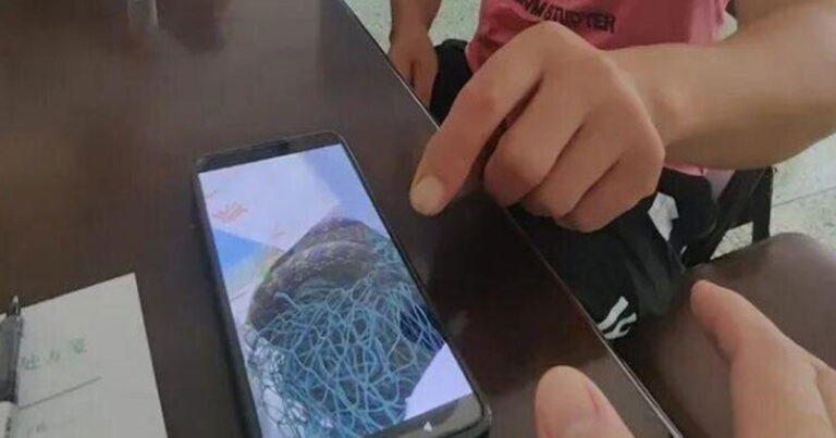 Kisah Nyata dari Fabel Aeosof “Petani dan Ular” : Pria Zhejiang, Tiongkok Digigit Ular Saat Berusaha Menyelamatkannya