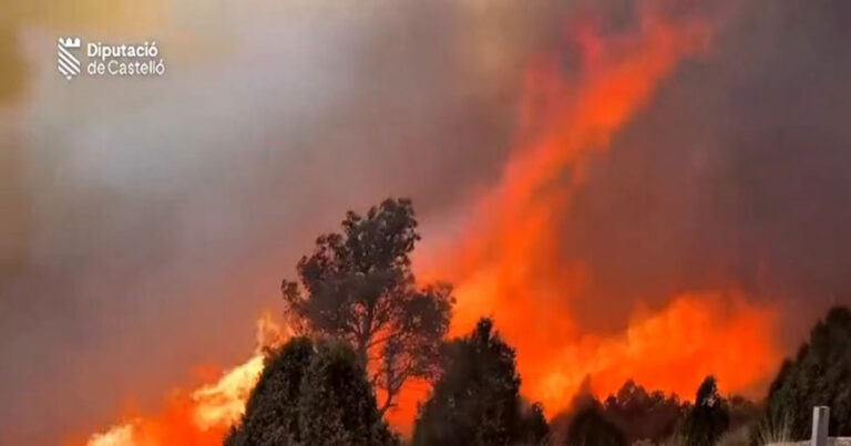 Kebakaran Hutan di Eropa Meluas ke Arah Tenggara, Sisa-sisa Amunisi Perang Dunia II yang Belum Meledak Menimbulkan Ancaman