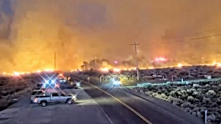Kebakaran Hutan Melahap Lebih dari 4.000 Hektar, Washoe County, Nevada, Dinyatakan dalam Keadaan Darurat