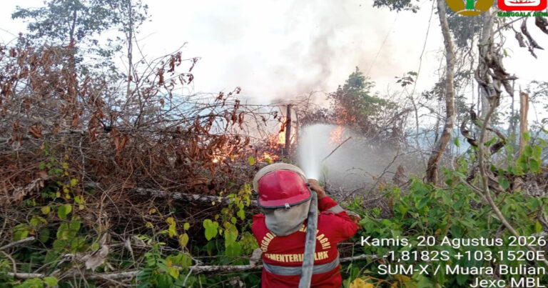 BNPB Perkuat Penanganan Kebakaran Hutan dan Lahan Melalui Operasi Udara dan Darat