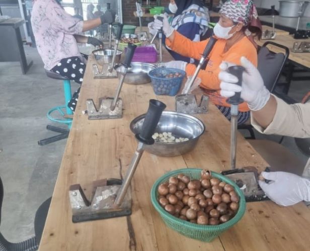 Macadamia Coffee Ampelgading, Inovasi Kopi Lereng Semeru yang Memadukan Cita Rasa Premium Macadamia Nusantara