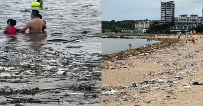 Pantai di Guangdong, Tiongkok Dipenuhi Sampah, Wisatawan Berenang di Tengah Tumpukan Sampah 