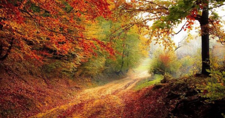 Mid Autumn dalam Syair: Bagaimana Para Penyair Timur dan Barat Menemukan Inspirasi dari Pergantian Musim