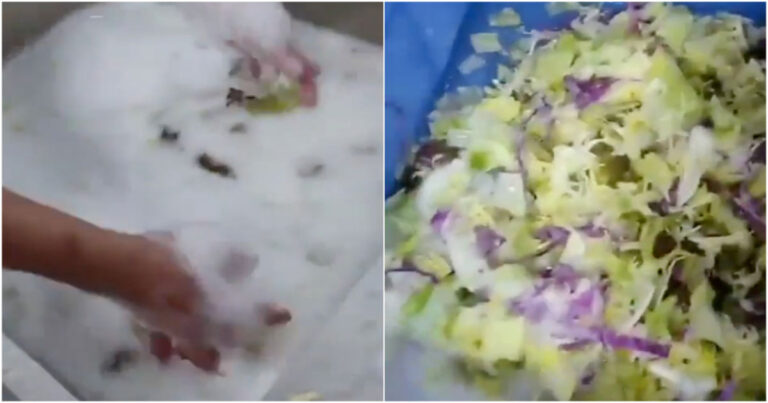 Viral Restoran di Guangdong, Tiongkok Mencuci Sayuran Salad dengan Sabun Cuci Piring, Video Terungkap Lalu Segera Dihapus